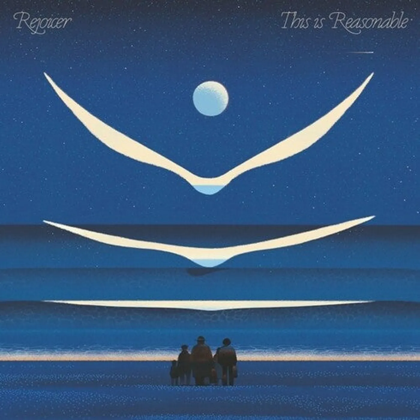 Rejoicer LP Vinyl - This Is Reasonable
