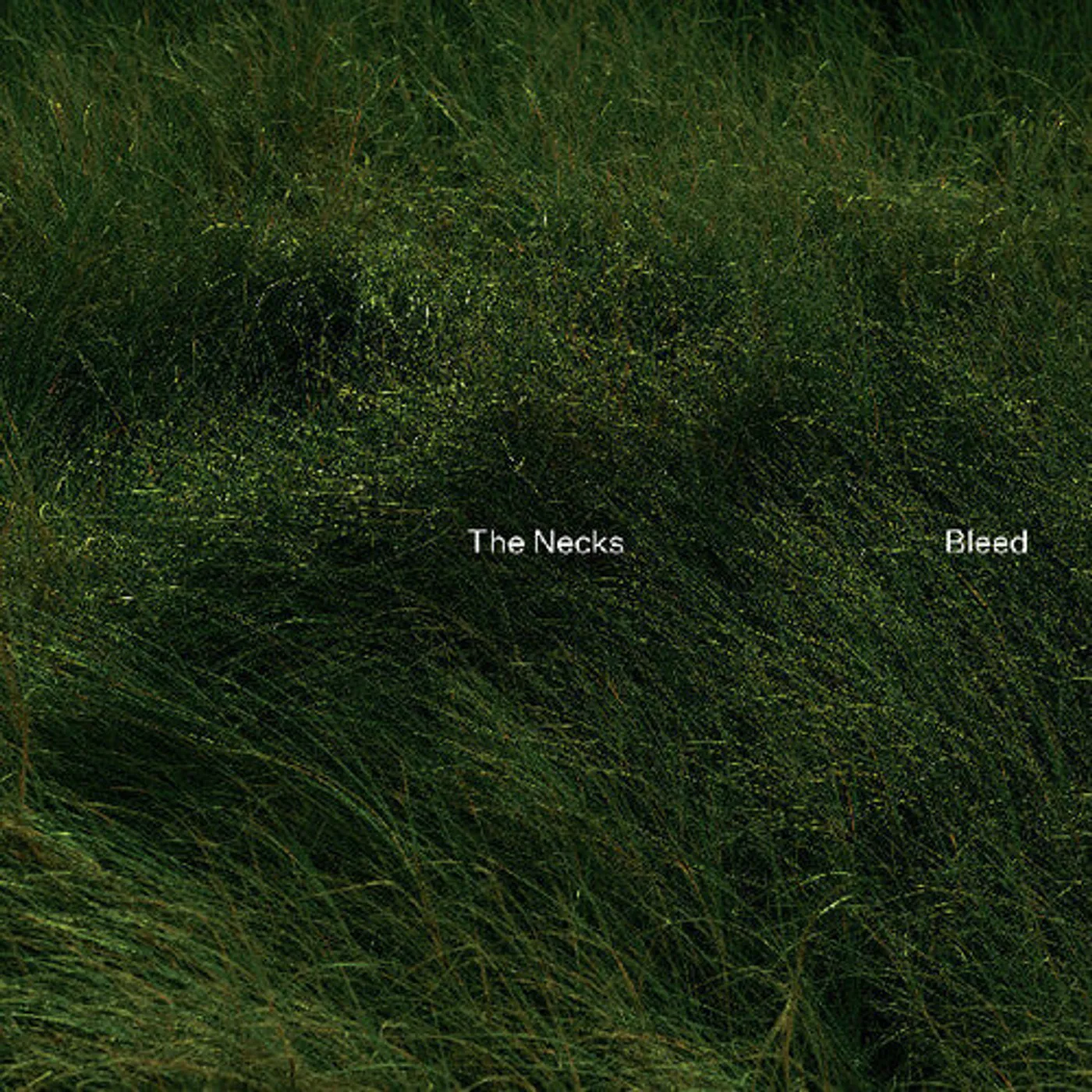 The Necks LP Vinyl - Bleed