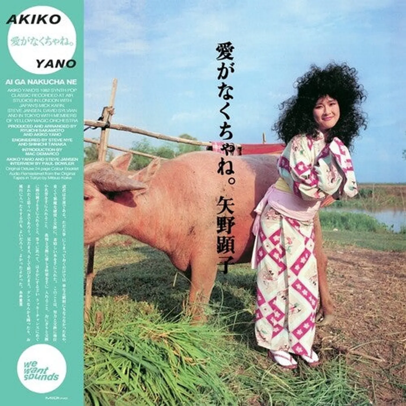 Akiko Yano LP Vinyl - Ai Ga Nakucha Ne