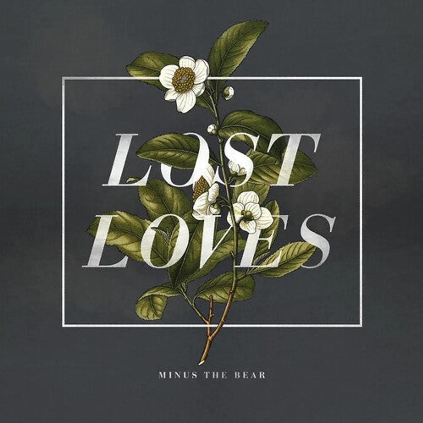 Minus The Bear LP Vinyl - Lost Loves