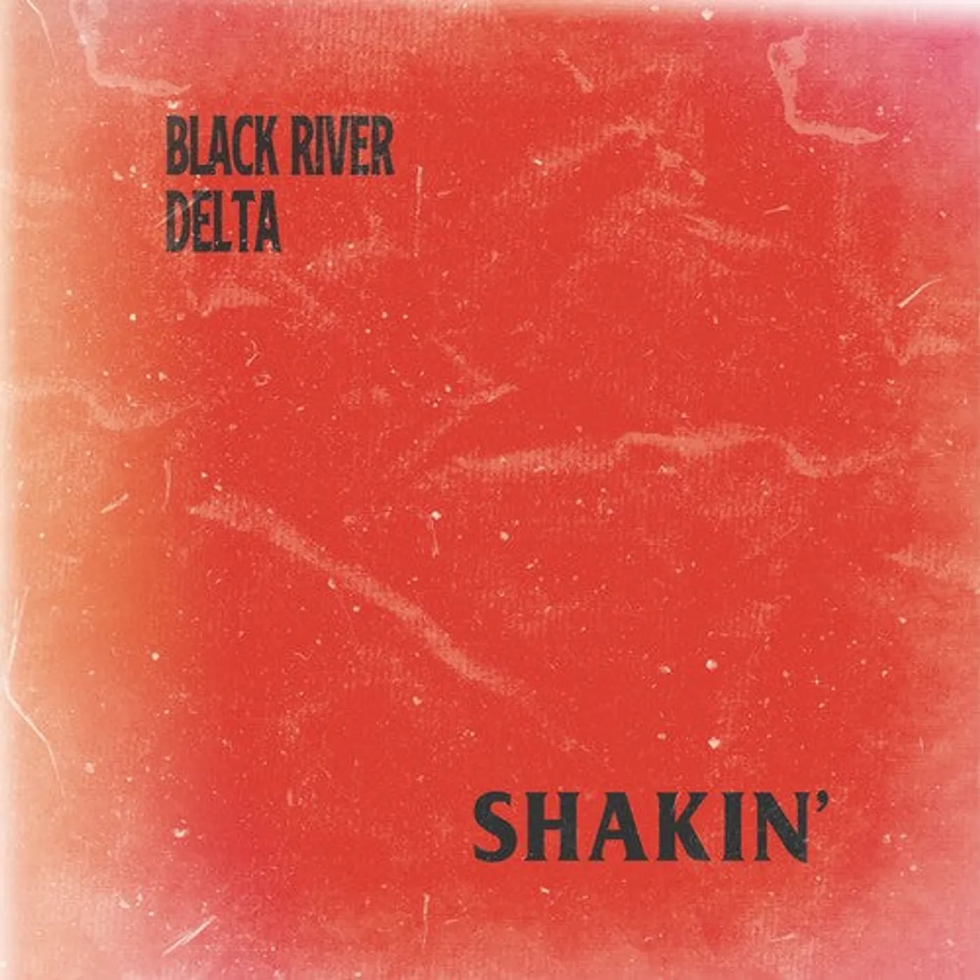 Black River Delta LP Vinyl - Shakin'
