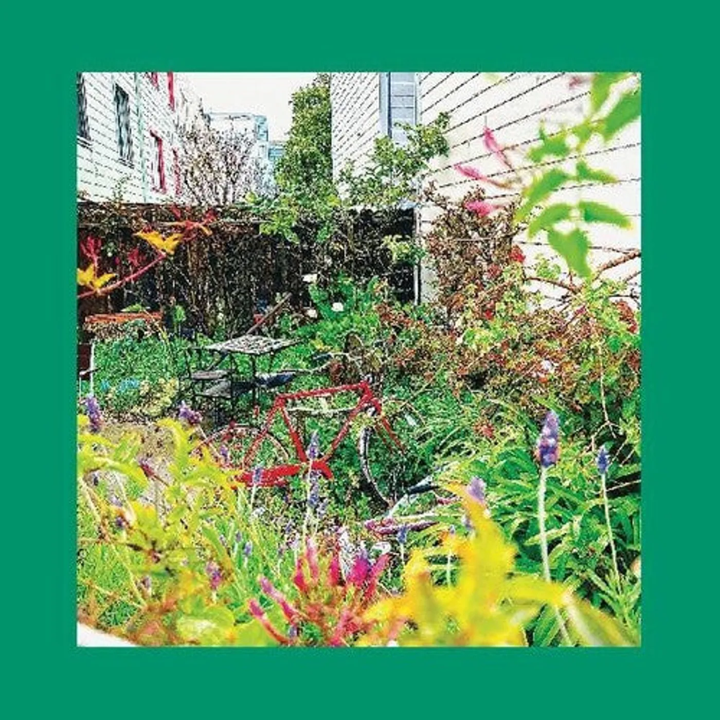 The Reds, Pinks and Purples LP Vinyl - Unwishing Well (Coloured Vinyl) (Org) (Dlcd)