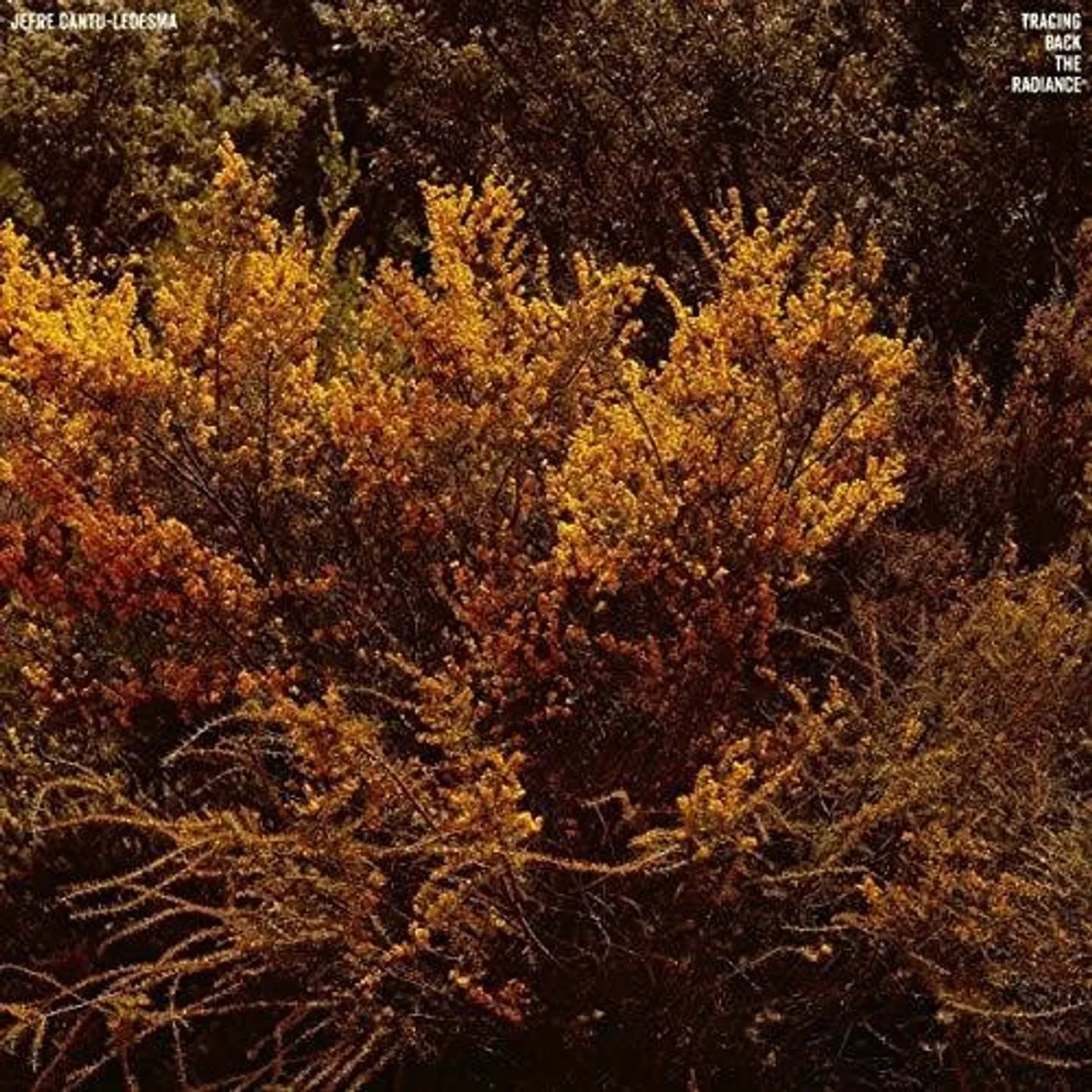 Jefre Cantu-Ledesma LP Vinyl - Tracing Back The Radiance