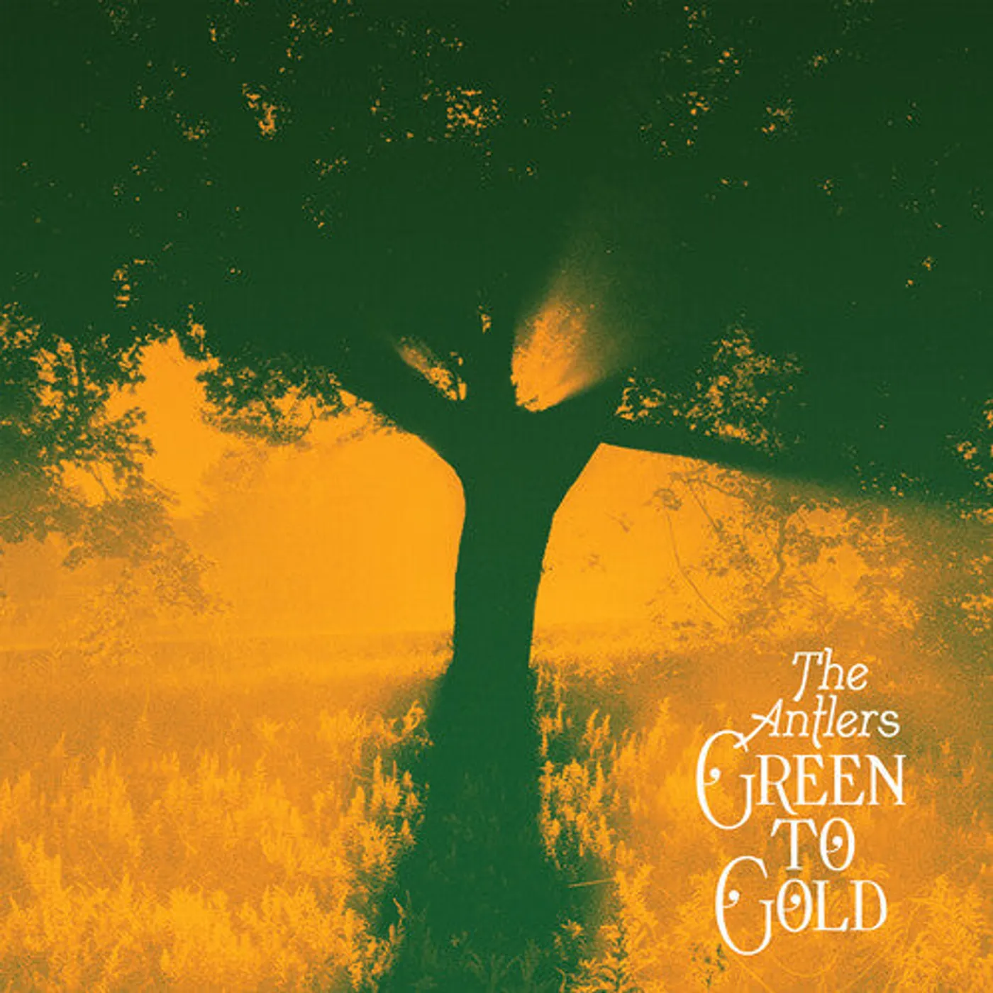 Antlers LP Vinyl - Green To Gold - Opaque Tan (Coloured Vinyl)