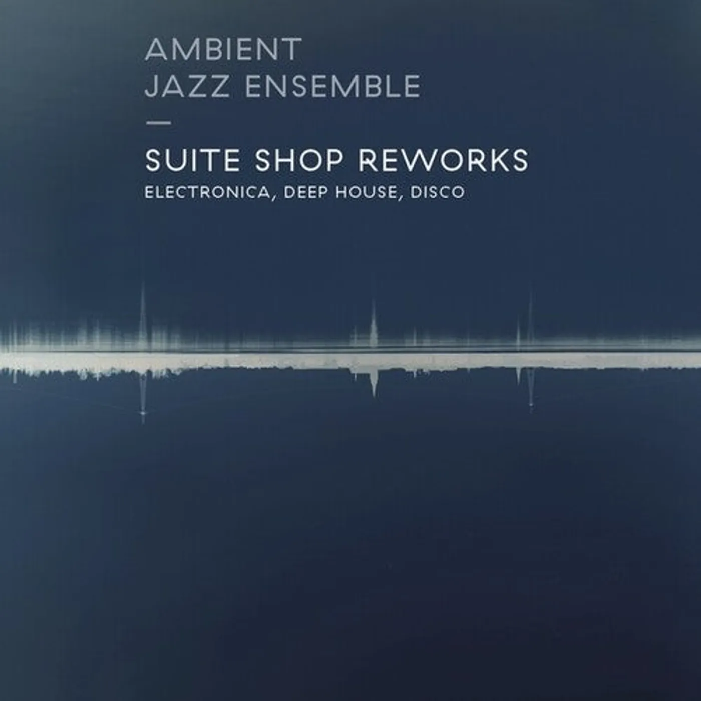 Ambient Jazz Ensemble LP Vinyl - Suite Shop Reworks