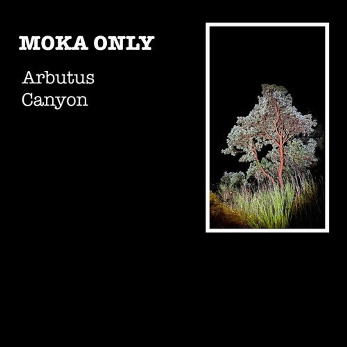 Moka Only LP Vinyl - Arbutus Canyon