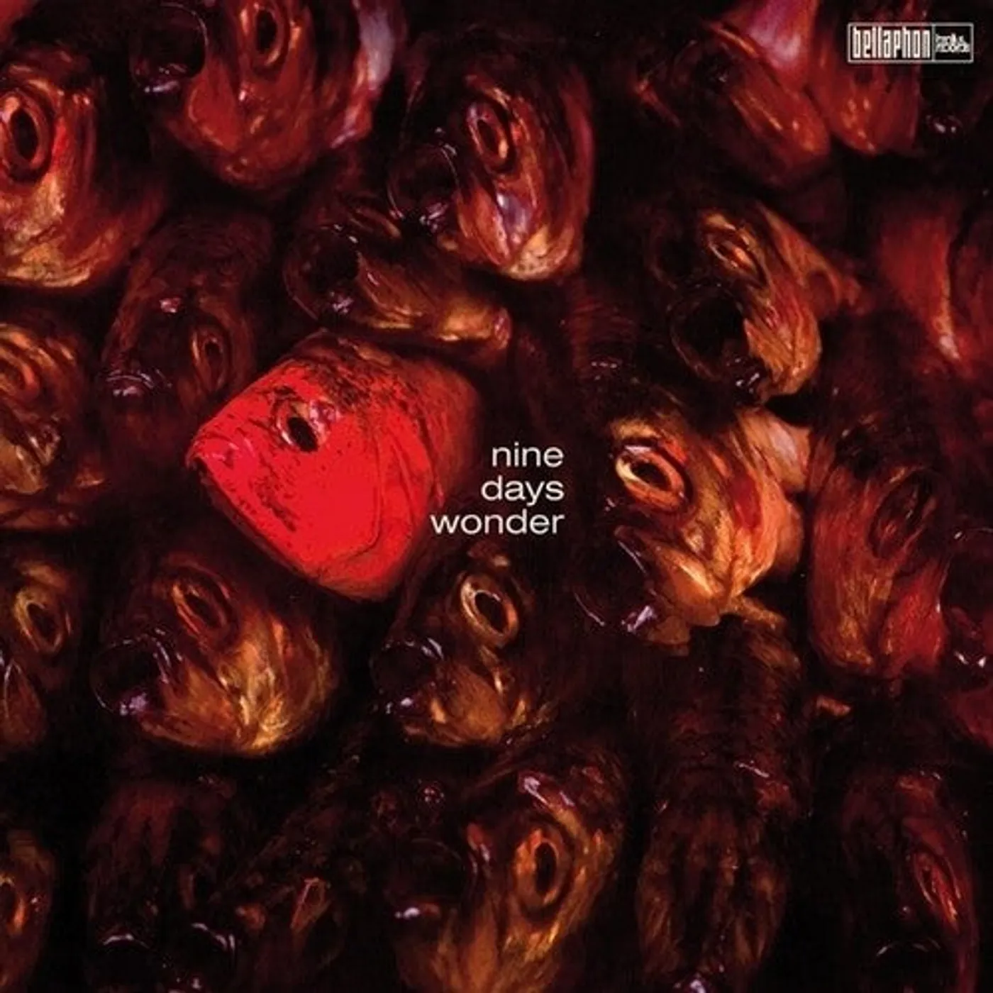 Nine Days Wonder LP Vinyl - Nine Days Wonder (Ogv)