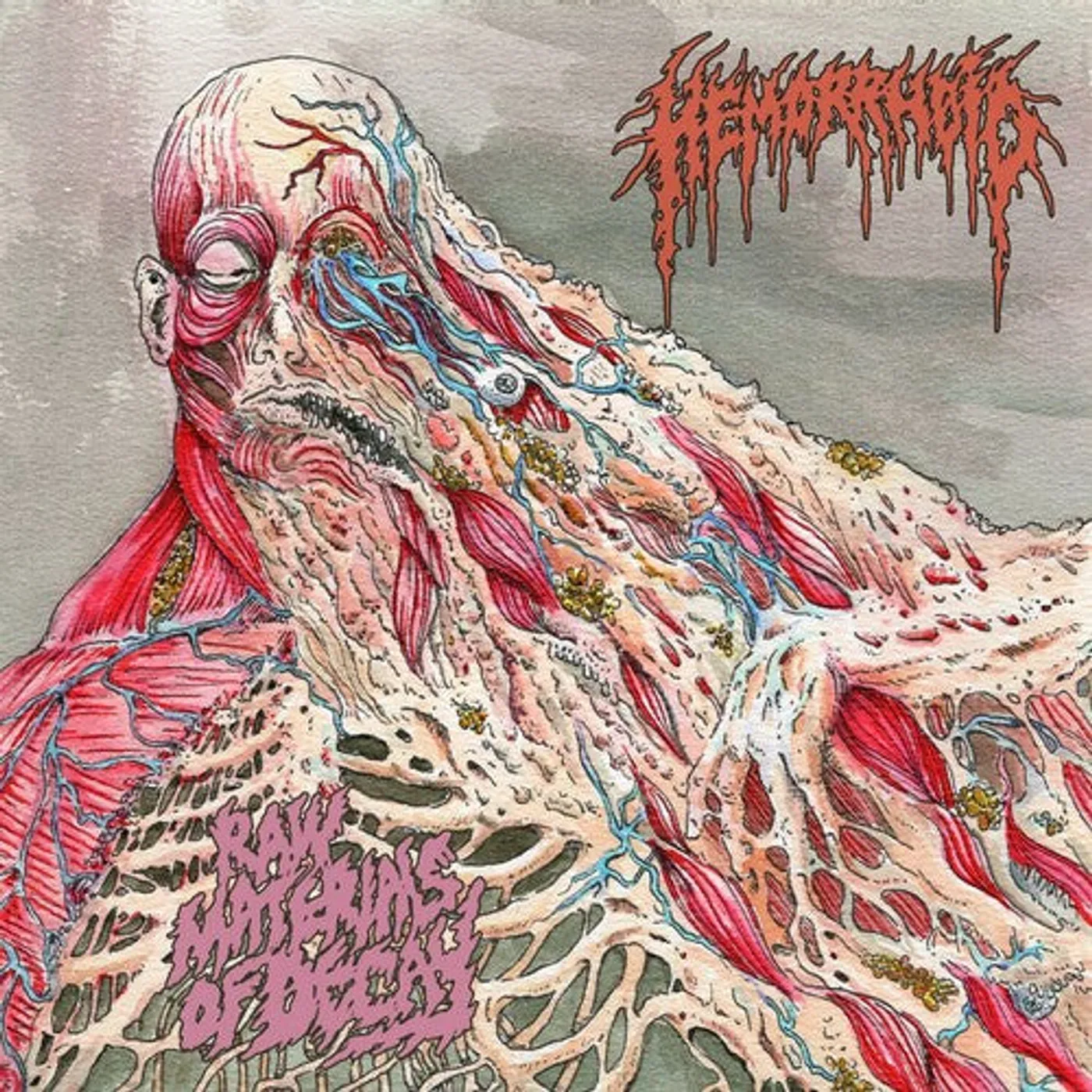 Hemorrhoid LP Vinyl - Raw Materials Of Decay (Uk)