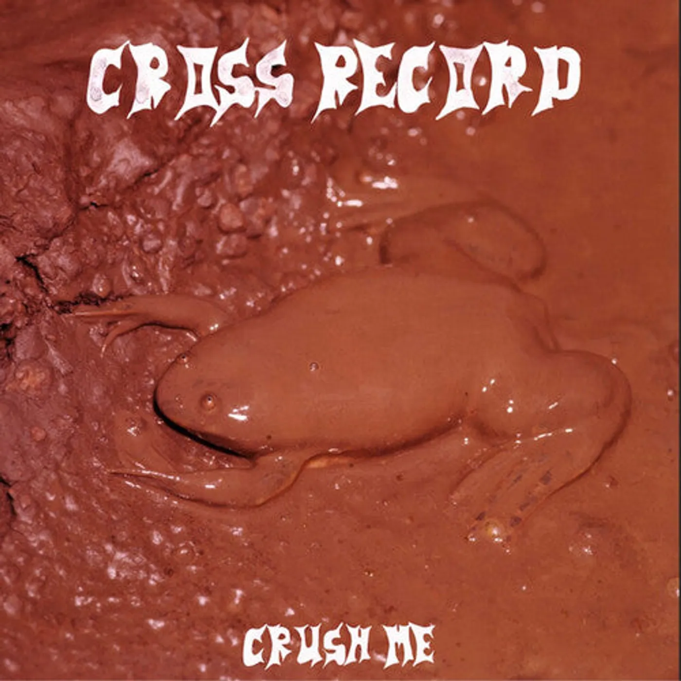 Cross Record LP Vinyl - Crush Me