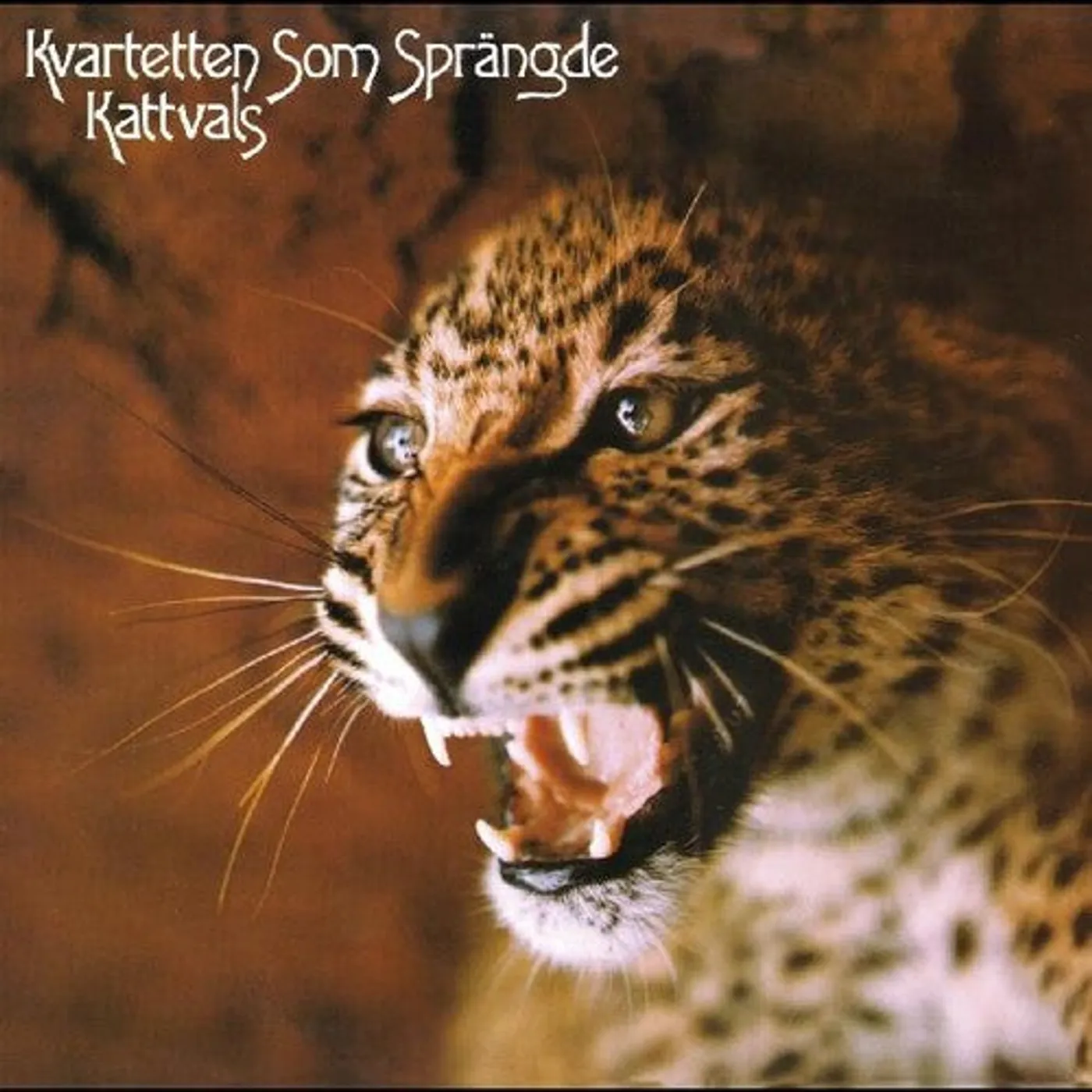 Kvartetten som sprängde LP Vinyl - Kattvals (Dlx) (Phot) (Spla)