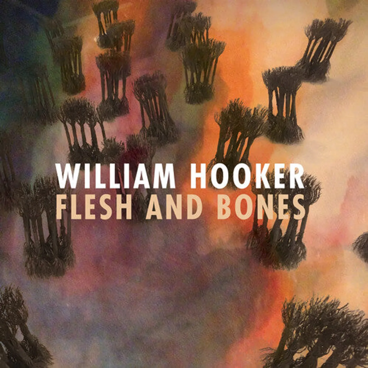 William Hooker LP Vinyl - Flesh And Bones