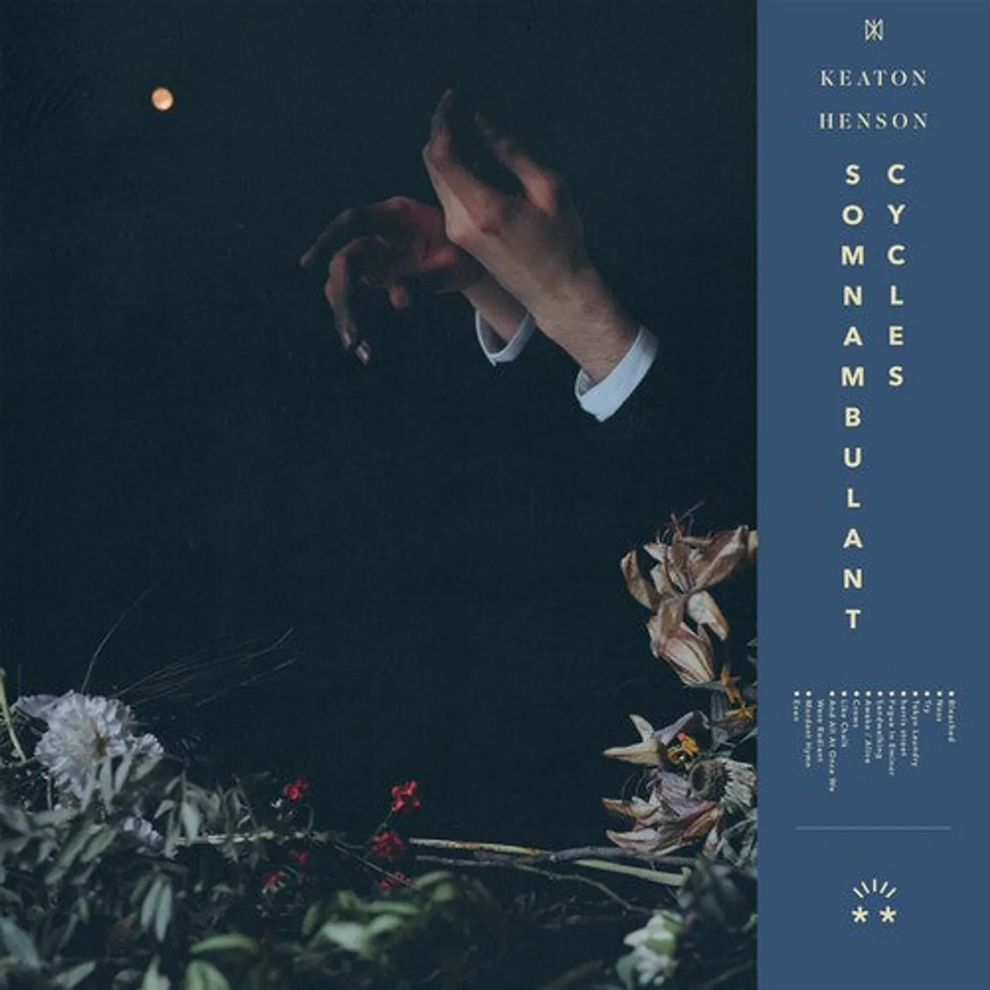 Keaton Henson LP Vinyl - Somnambulant Cycles