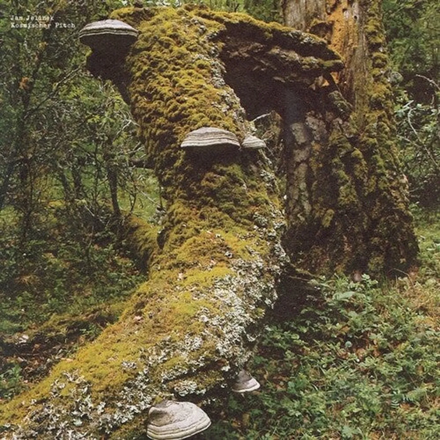 Jan Jelinek LP Vinyl - Kosmischer Pitch