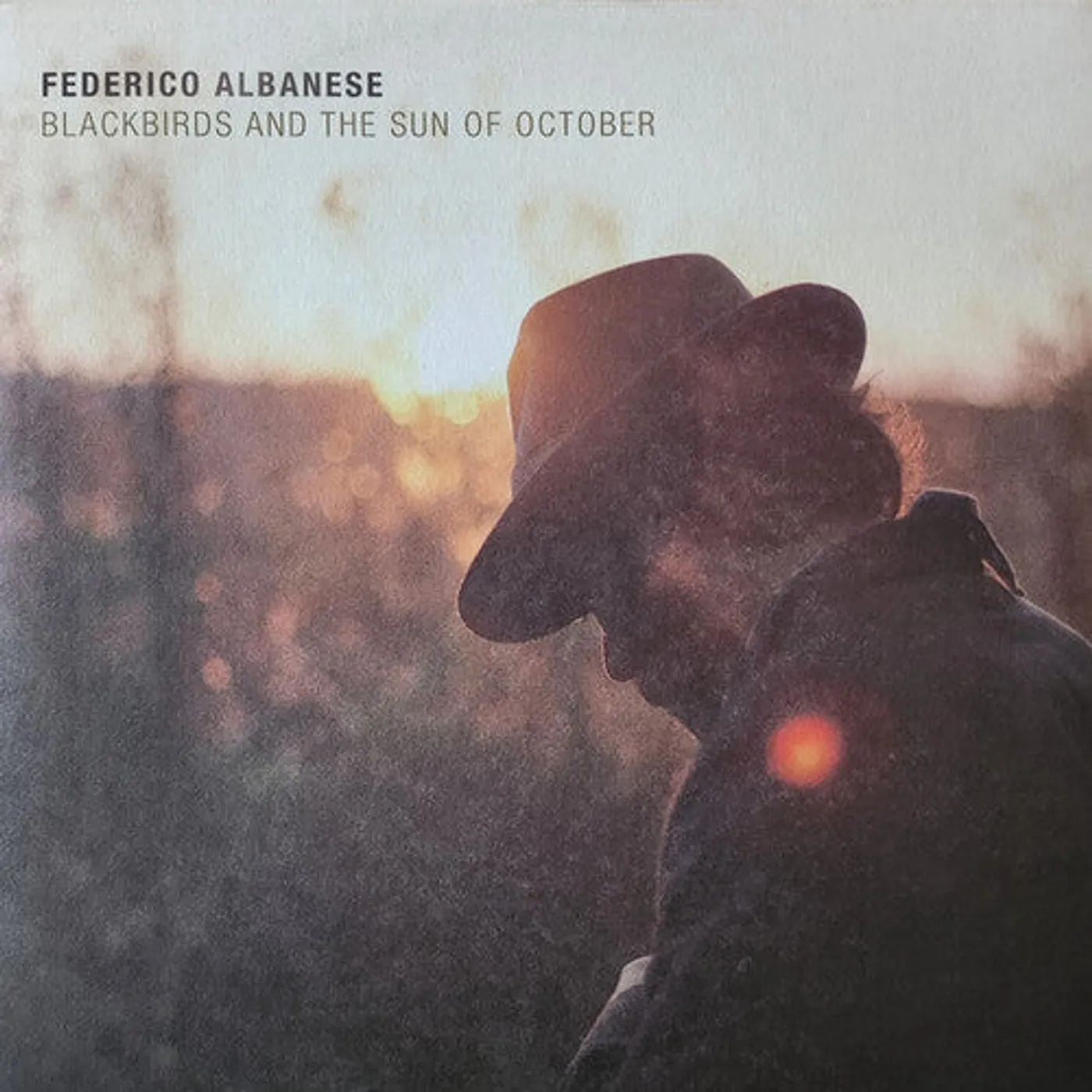 Federico Albanese LP Vinyl - Blackbirds & The Sun Of October (Can)