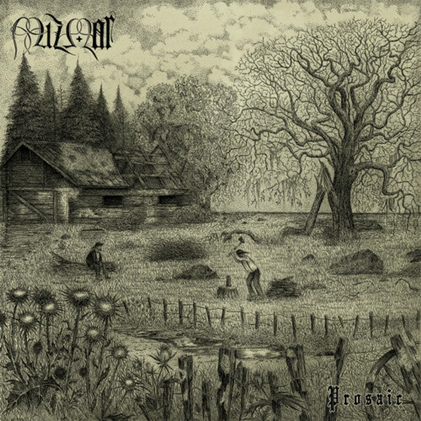 Mizmor LP Vinyl - Prosaic