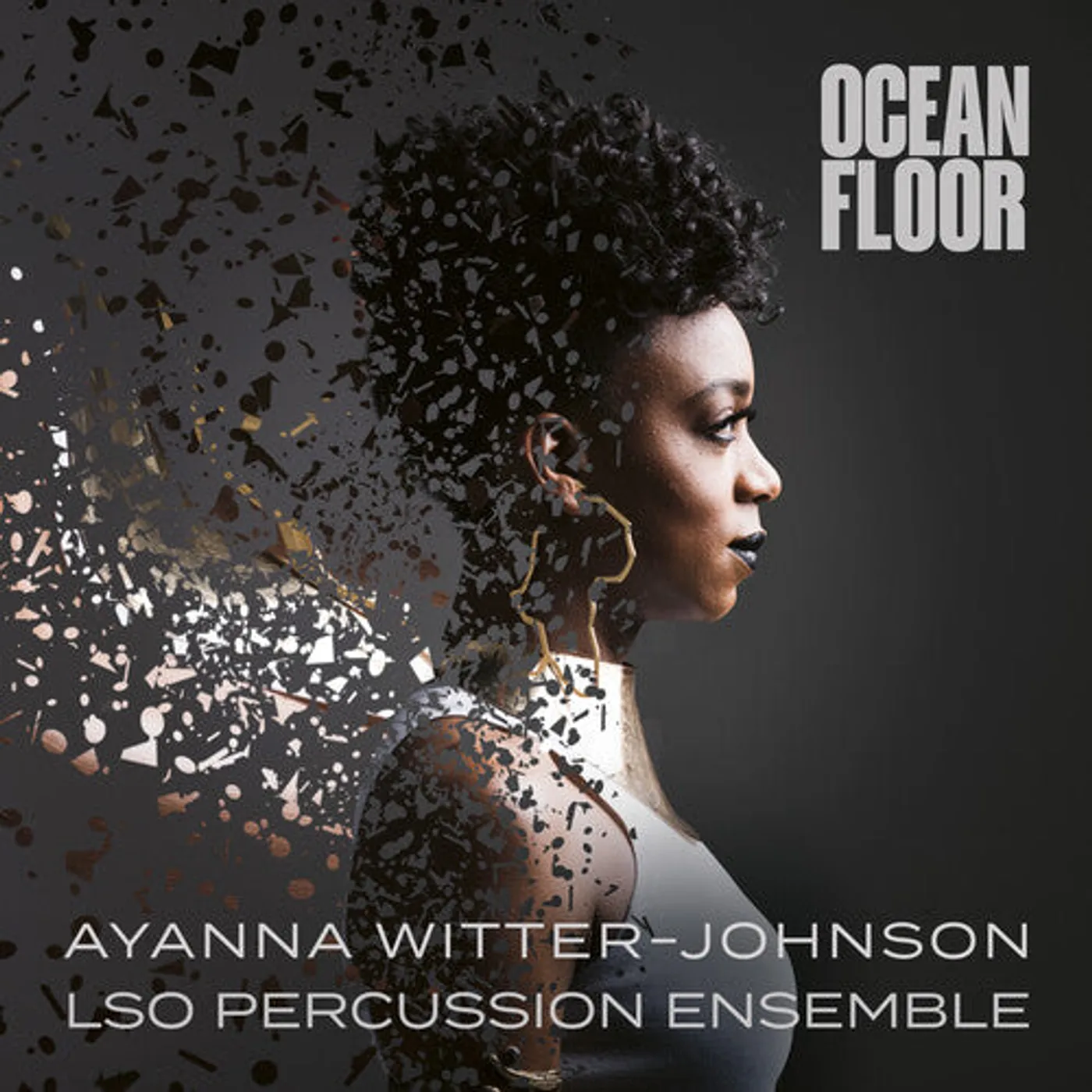 Ayanna Witter-Johnson LP Vinyl - Ocean Floor