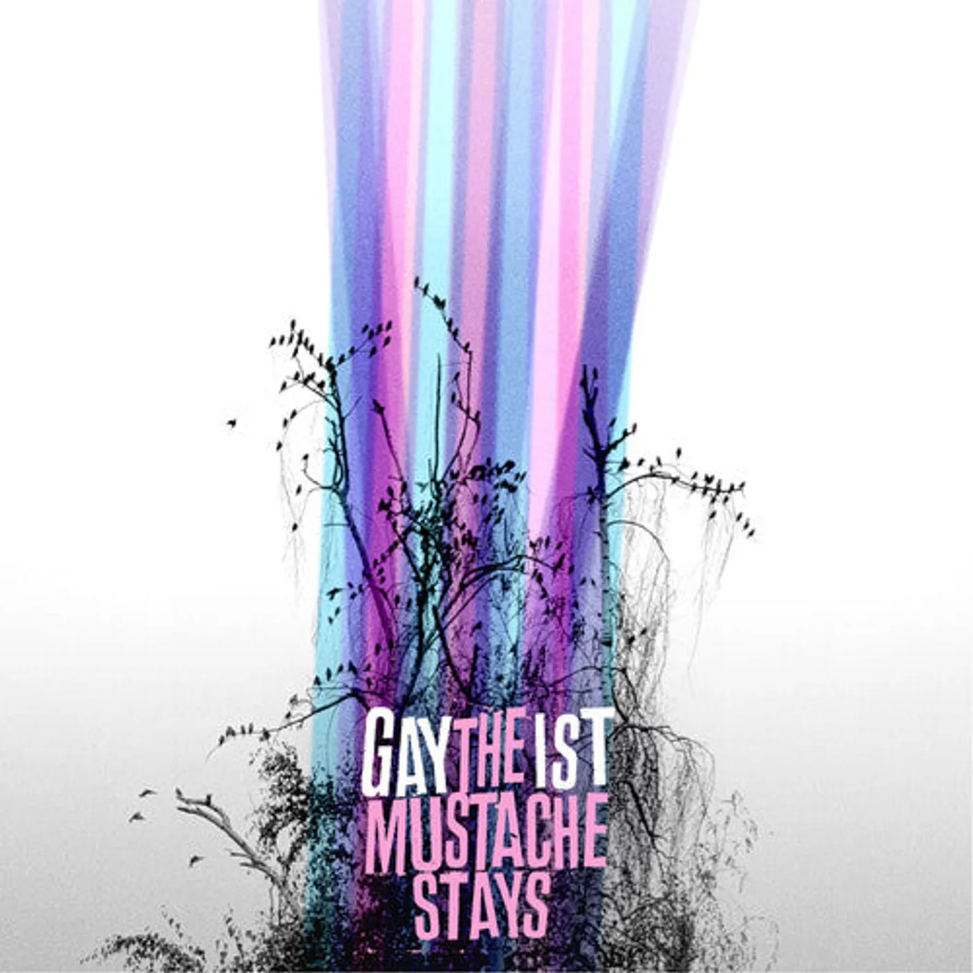 Gaytheist LP Vinyl - Mustache Stays (Coloured Vinyl) (Mgta)