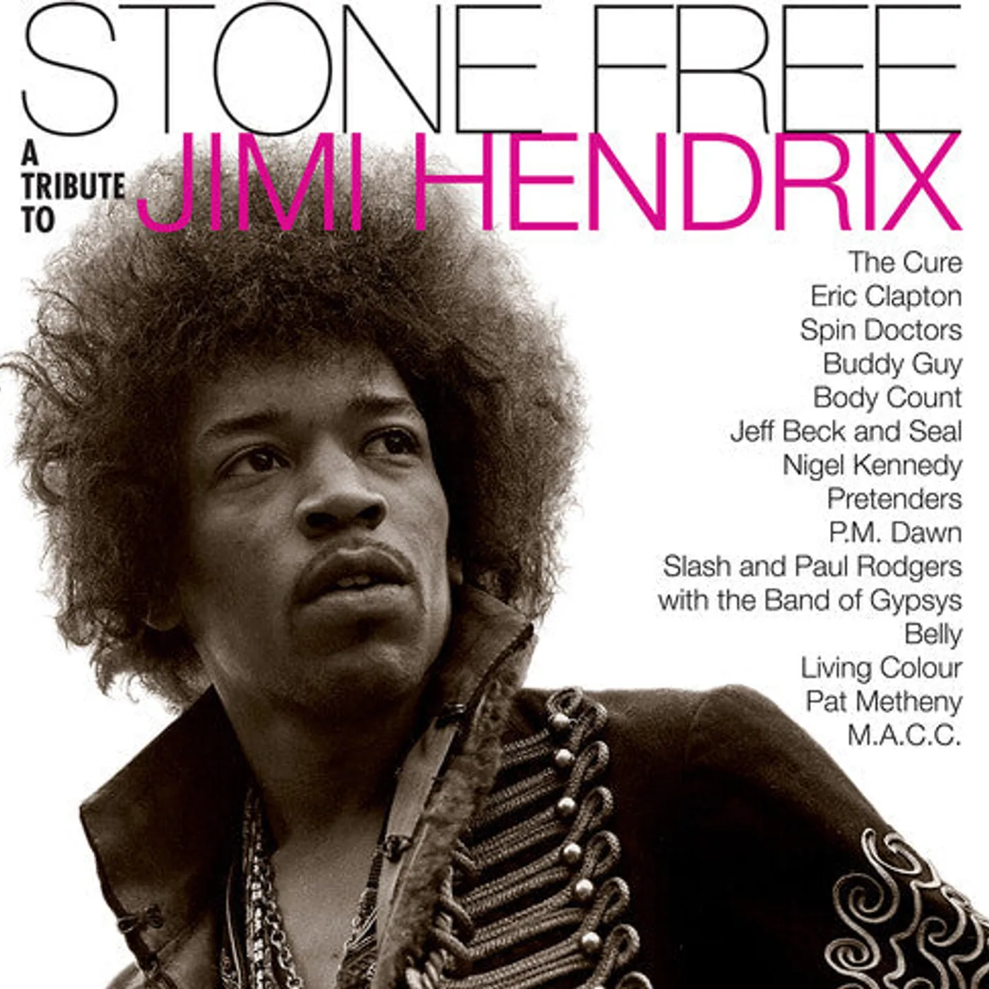 Jimmy Tribute Hendrix LP Vinyl - Stone Free: Jimi Hendrix Tribute (Blk) (Cvnl)