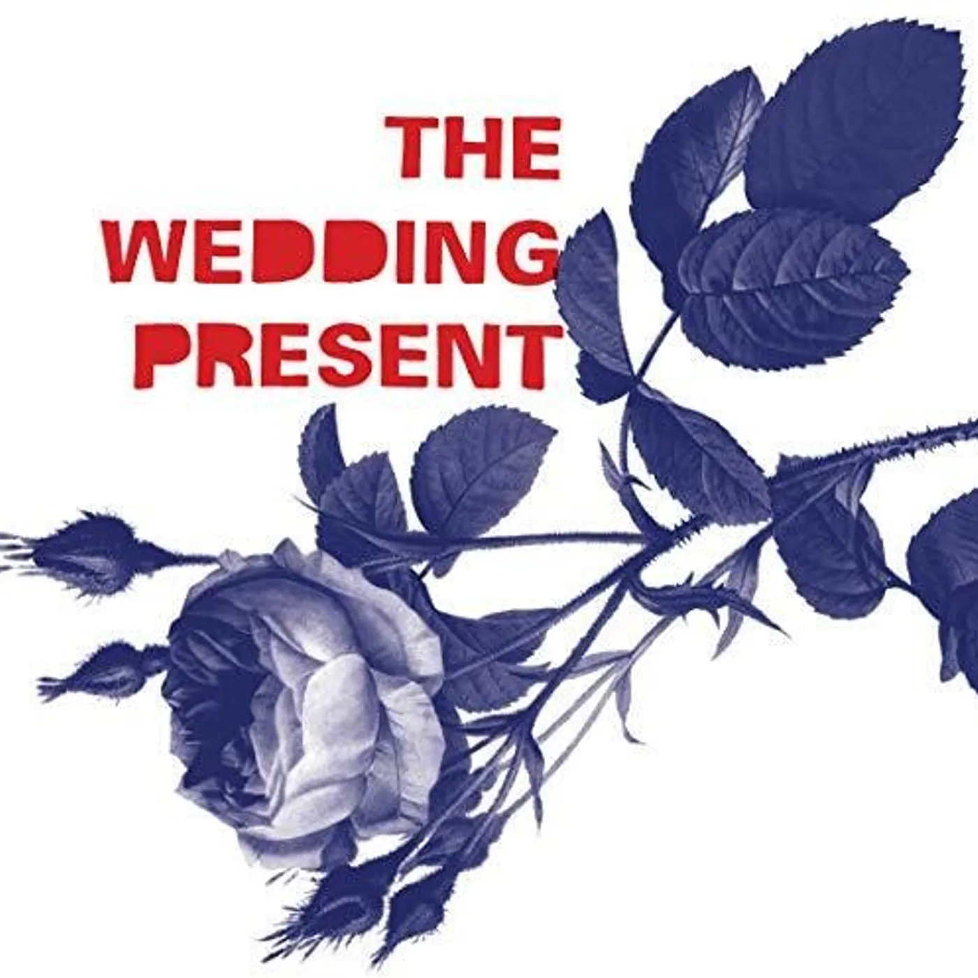 The Wedding Present LP Vinyl - Tommy 30