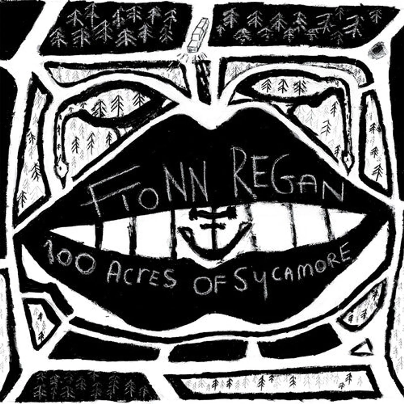 Fionn Regan LP Vinyl - 100 Acres Of Sycamore