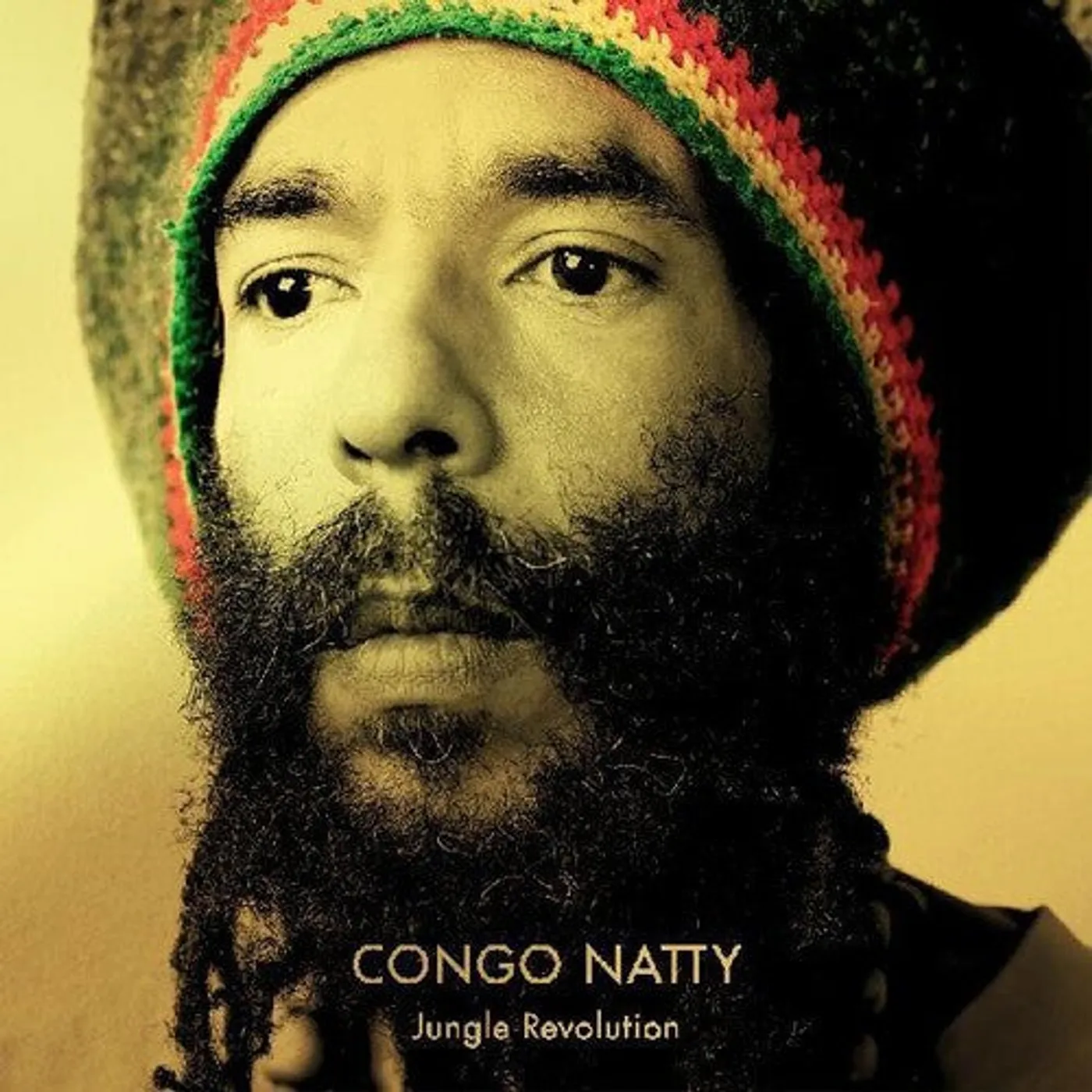 Congo Natty LP Vinyl - Jungle Revolution (Coloured Vinyl) (Grn) (Ofgv) (Ylw) (Dlcd)