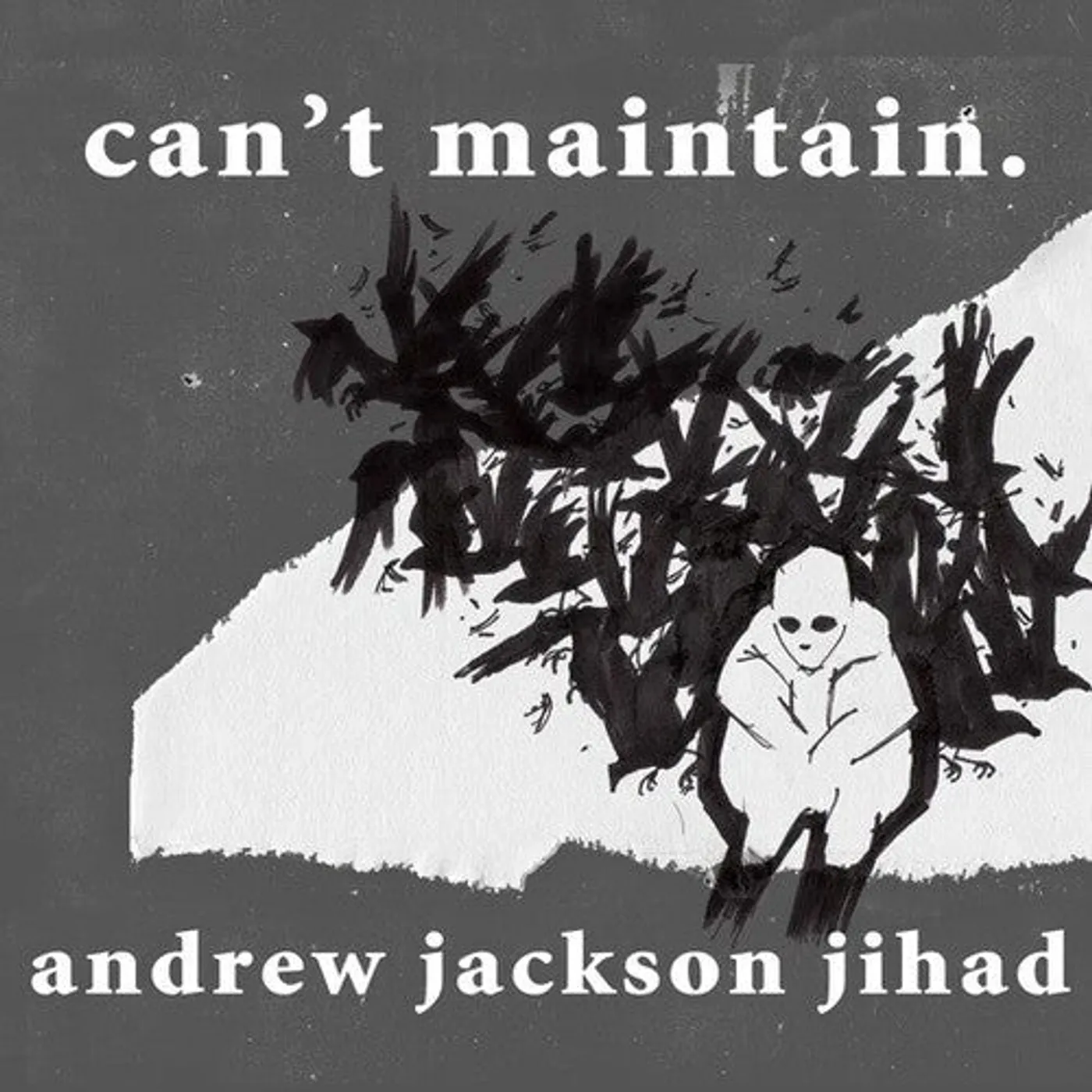 Andrew Jackson Jihad LP Vinyl - Can'T Maintain