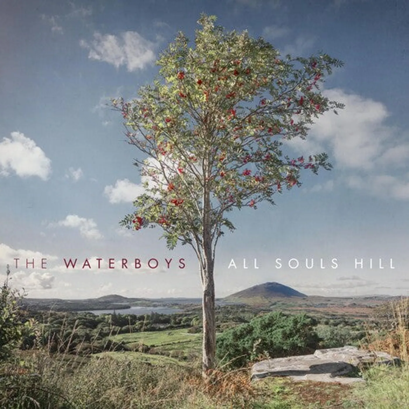 The Waterboys LP Vinyl - All Souls Hill