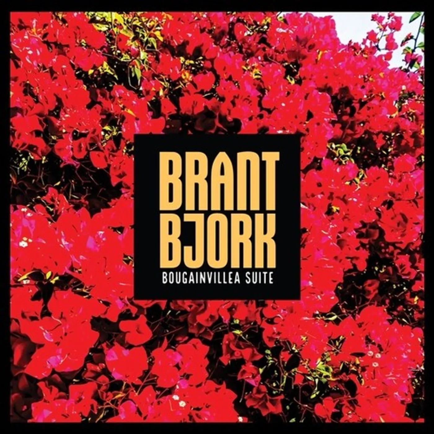 Brant Bjork LP Vinyl - Bougainvillea Suite