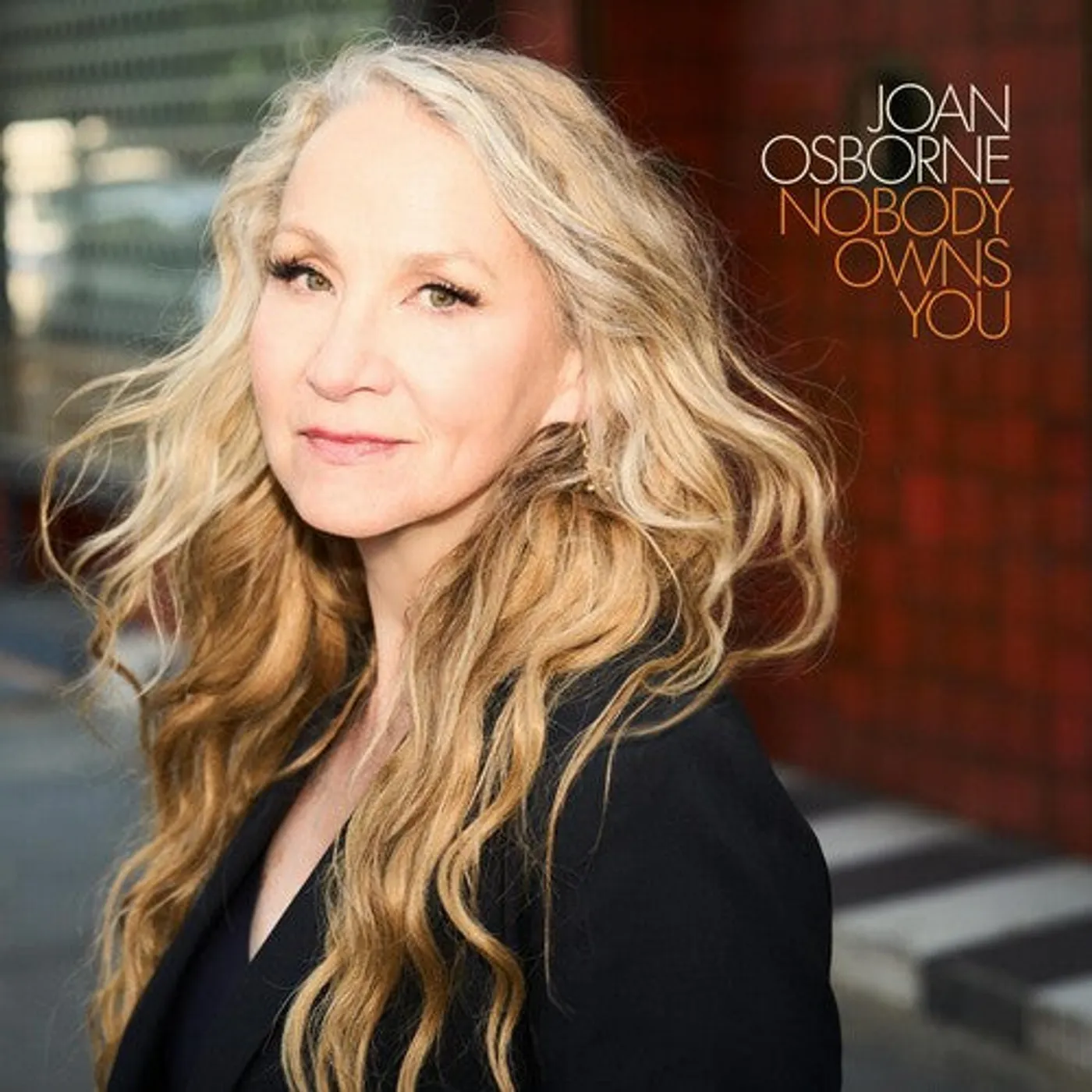 Joan Osborne LP Vinyl - Nobody Owns You