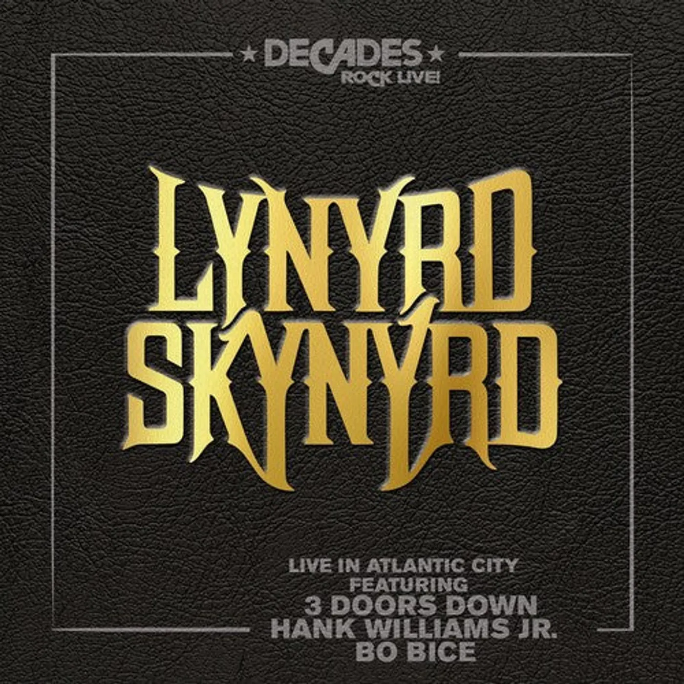 Lynyrd Skynyrd LP Vinyl - Live In Atlantic City