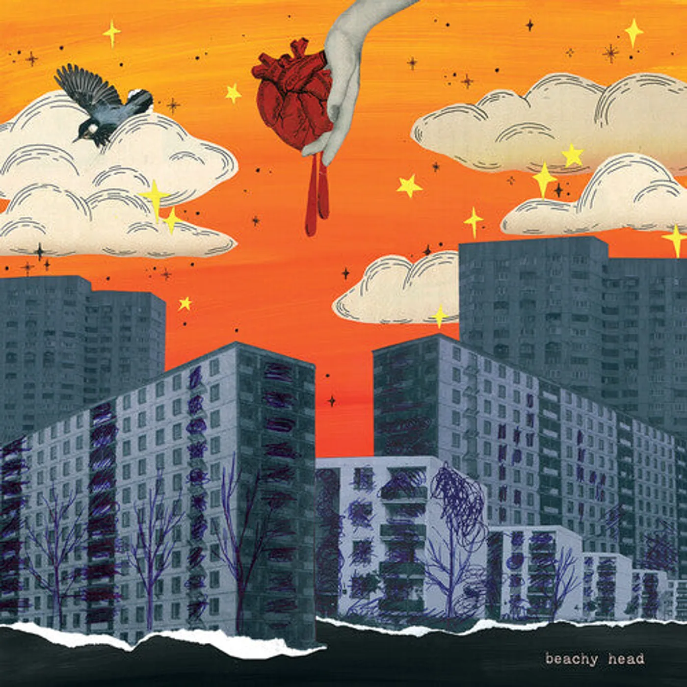 Beachy Head LP Vinyl - Beachy Head (Coloured Vinyl) (Dlcd)