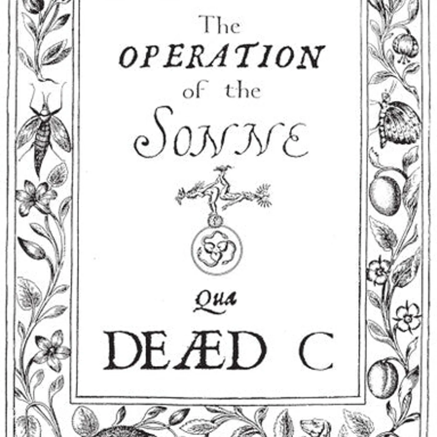 The Dead C LP Vinyl - Operation Of The Sonne