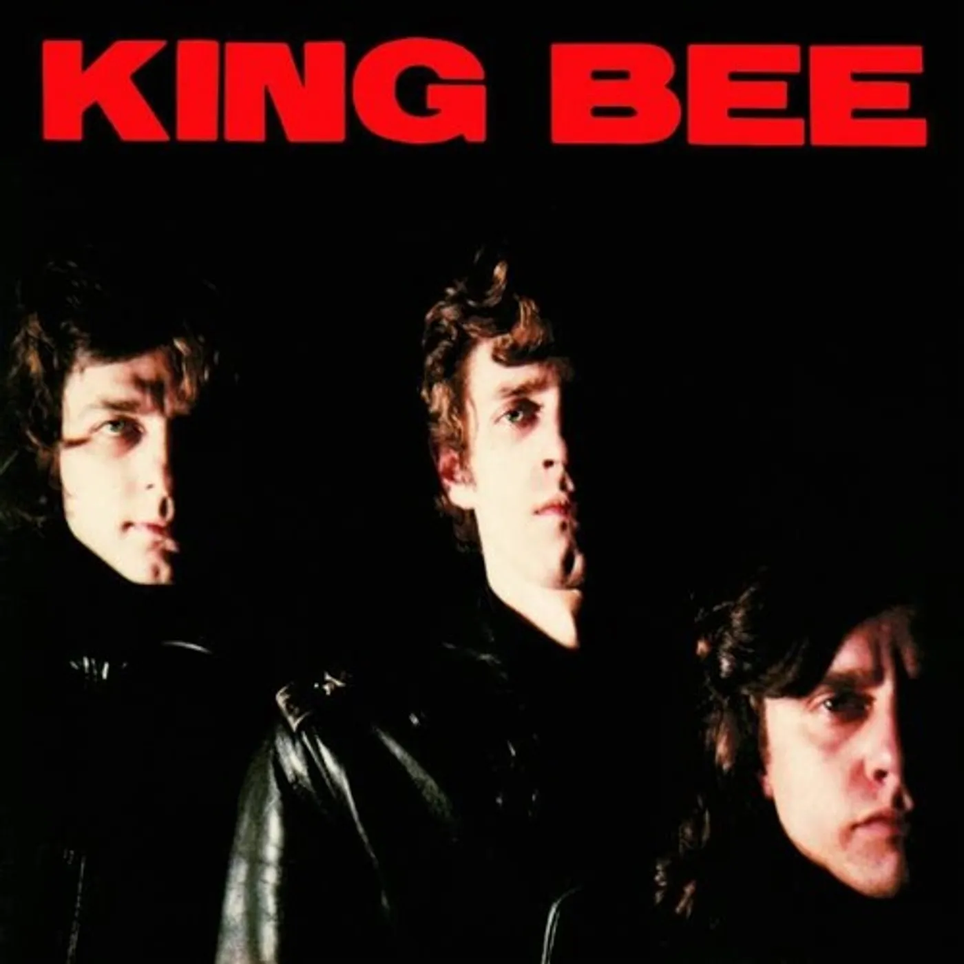 King Bee LP Vinyl - King Bee