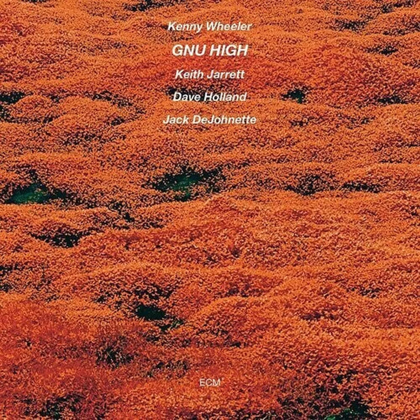Kenny Wheeler LP Vinyl - Gnu High
