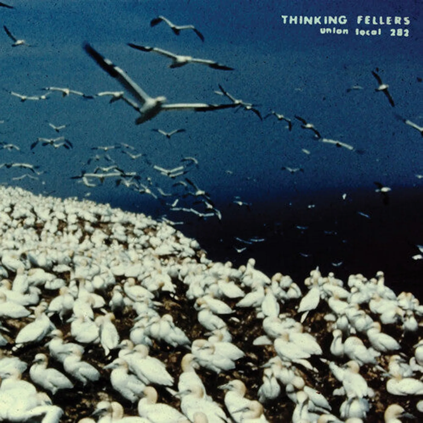 Thinking Fellers Union Local 282 LP Vinyl - These Things Remain Unassigned (Gate Fold) (Wb) (Rmst)