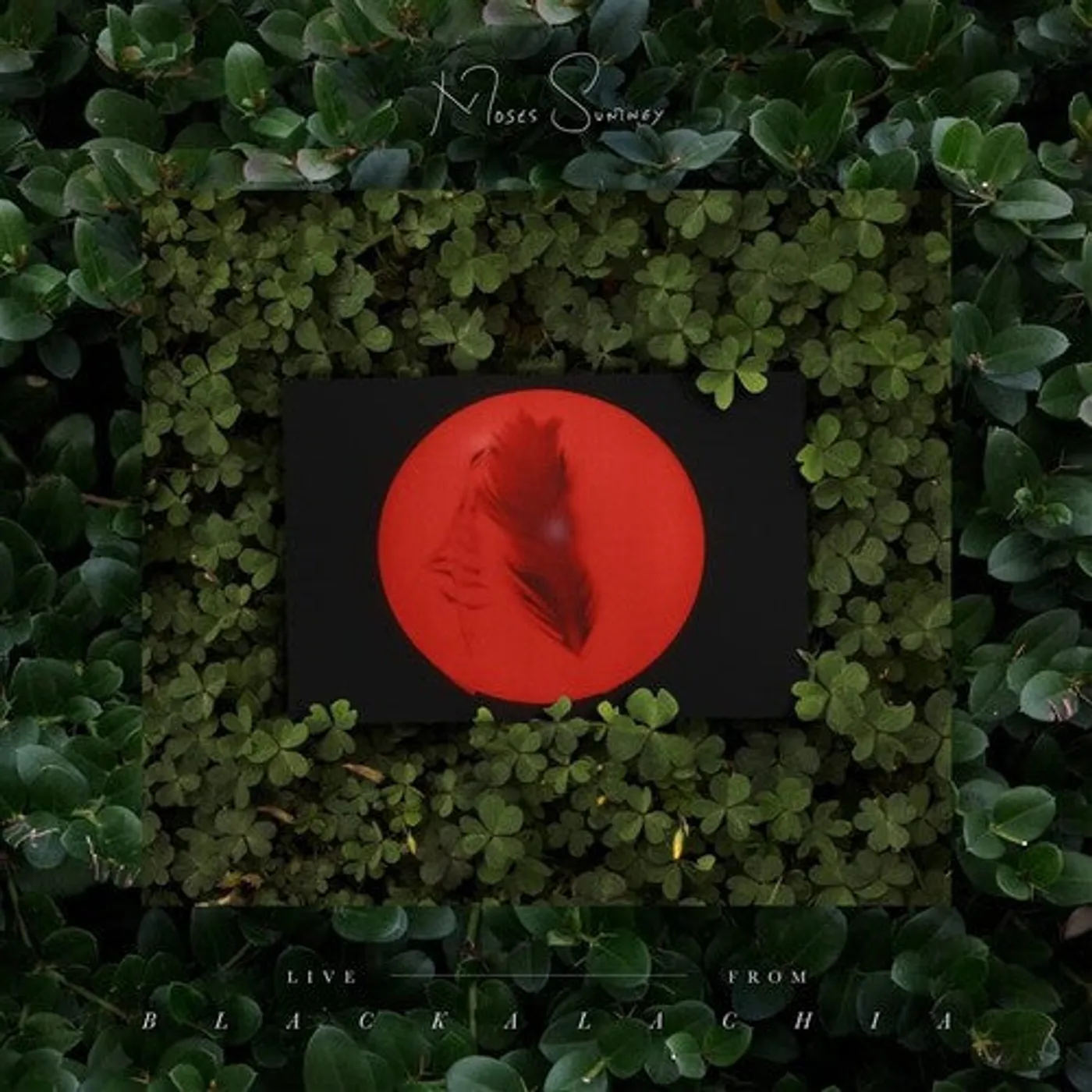 Moses Sumney LP Vinyl - Live From Blackalachia