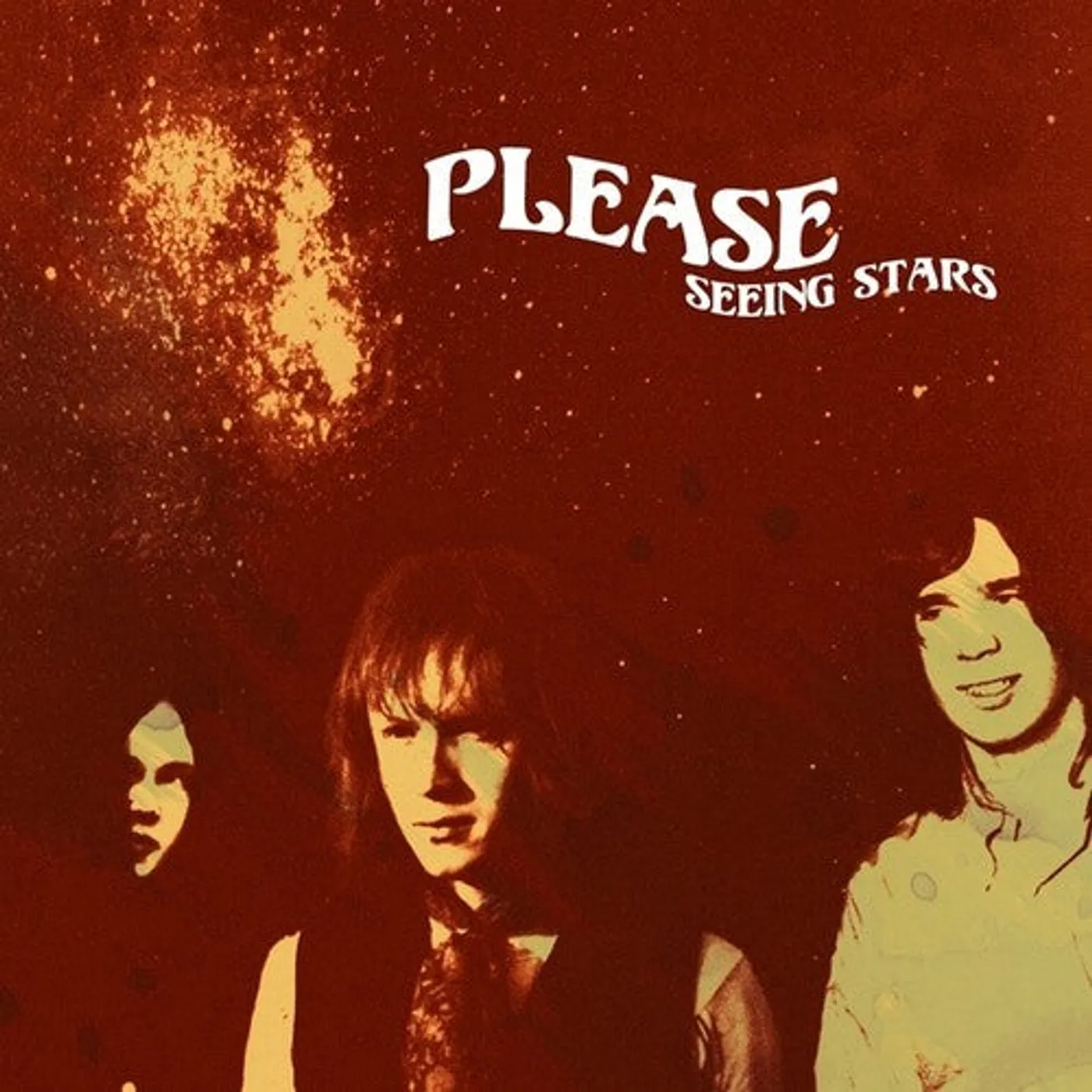 Please LP Vinyl - Seeing Stars