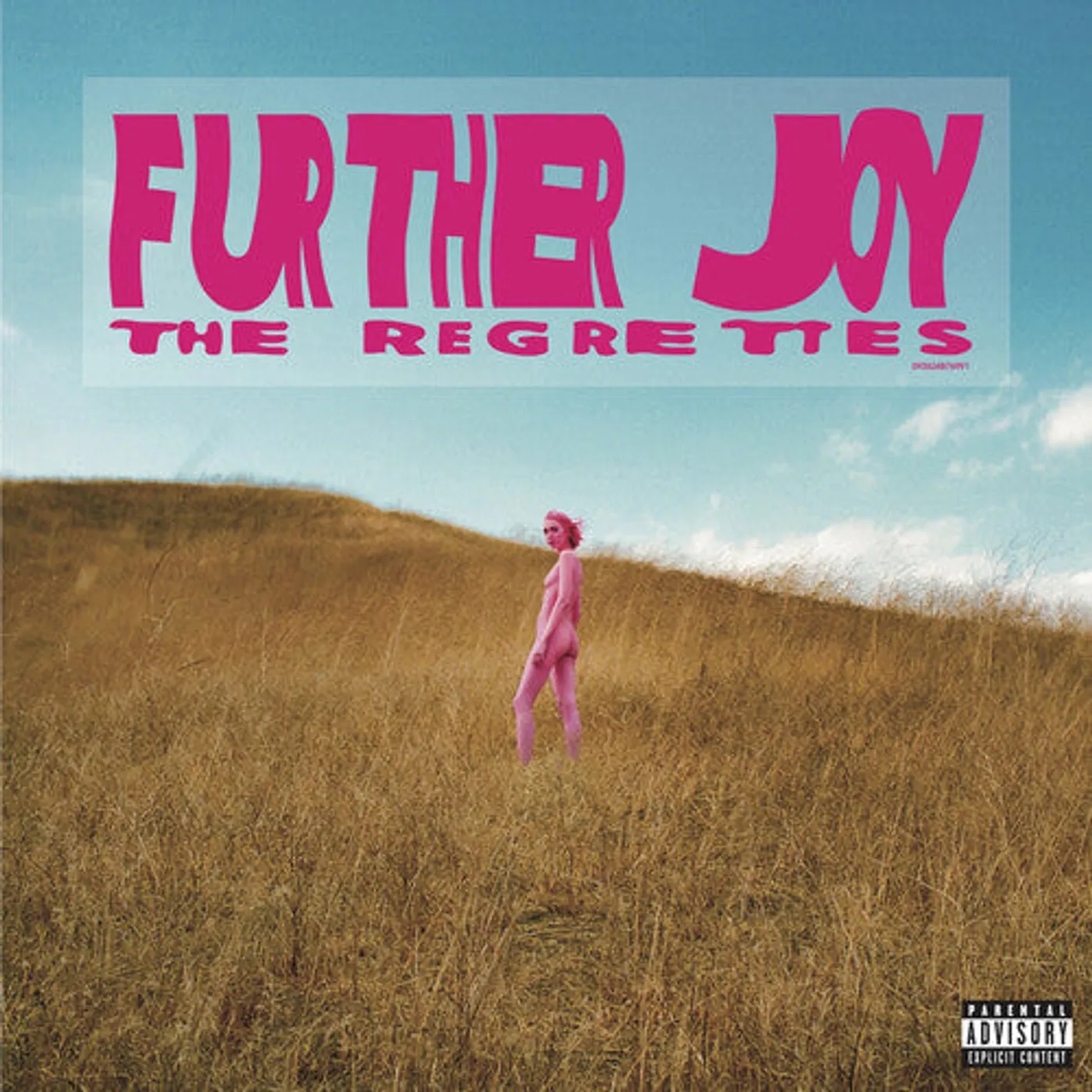 The Regrettes LP Vinyl - Further Joy