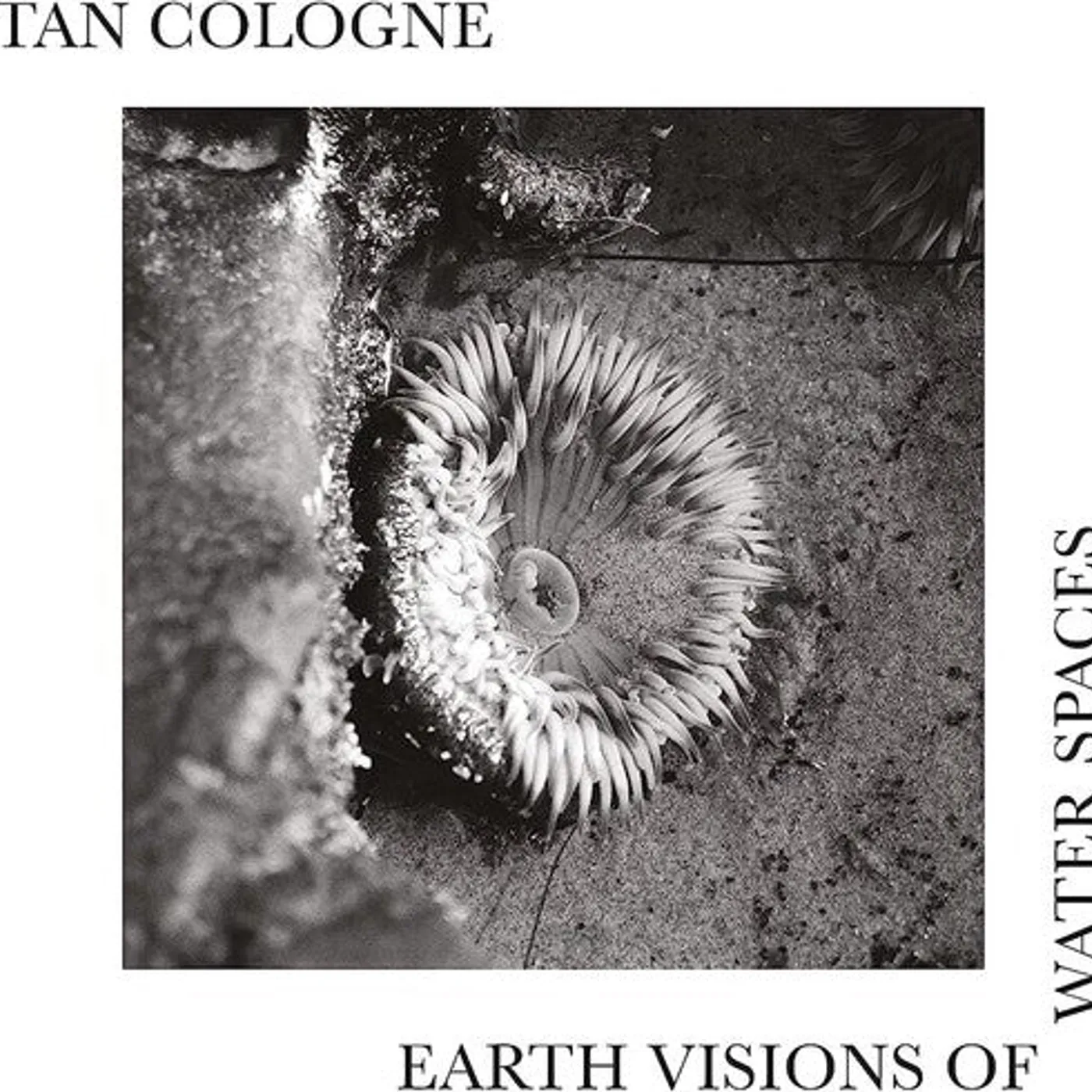 Tan Cologne LP Vinyl - Earth Visions Of Water Spaces