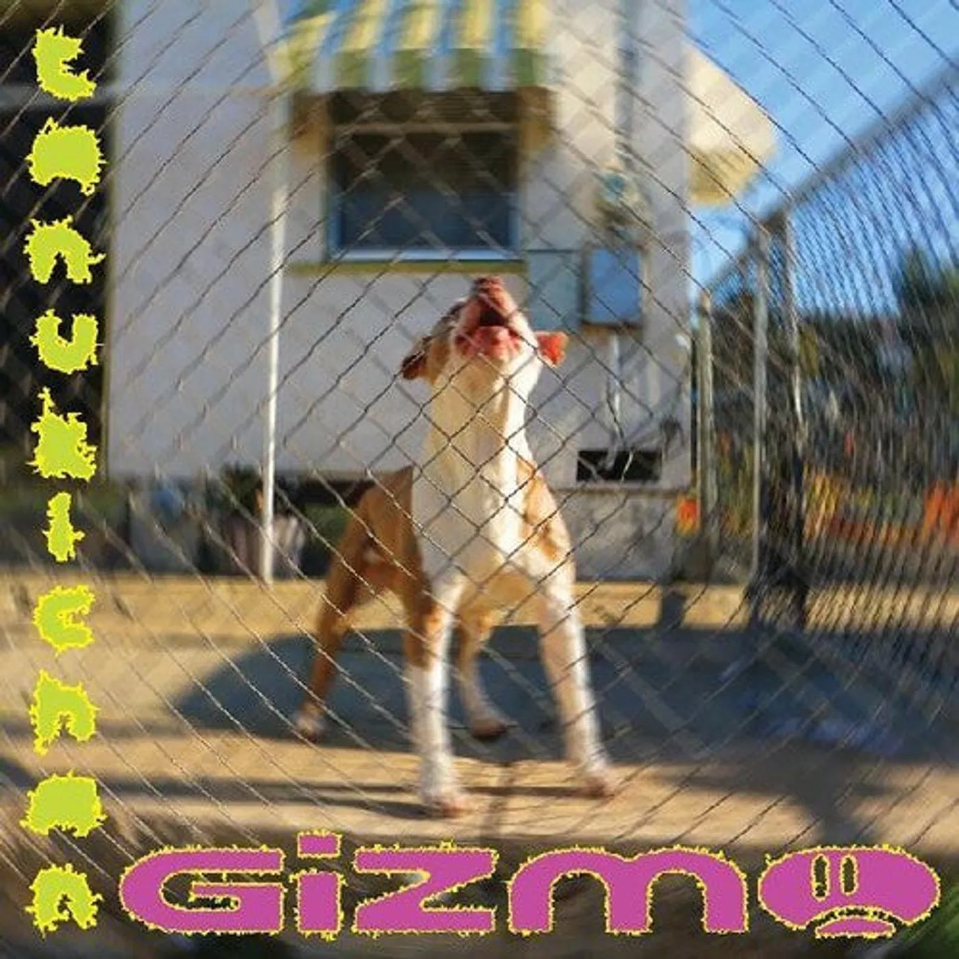 Tanukichan LP Vinyl - Gizmo (Dlcd)