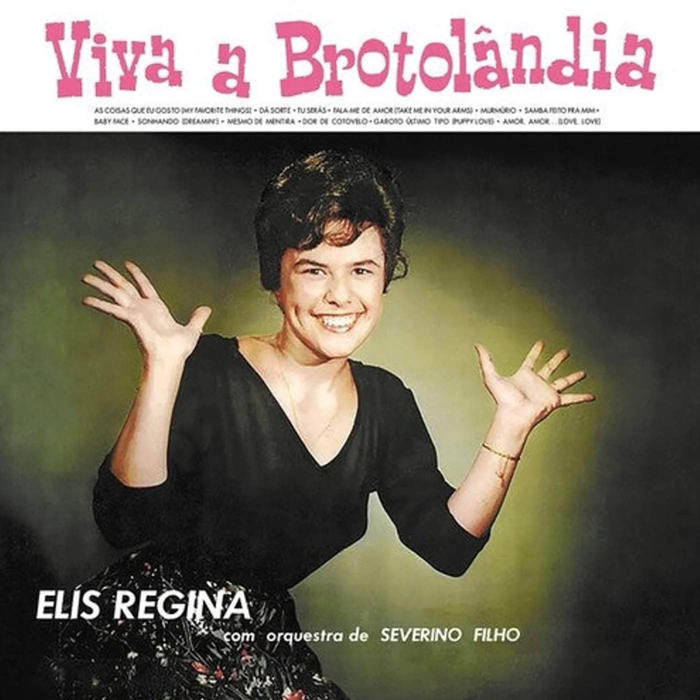Elis Regina LP Vinyl - Viva A Brotolandia