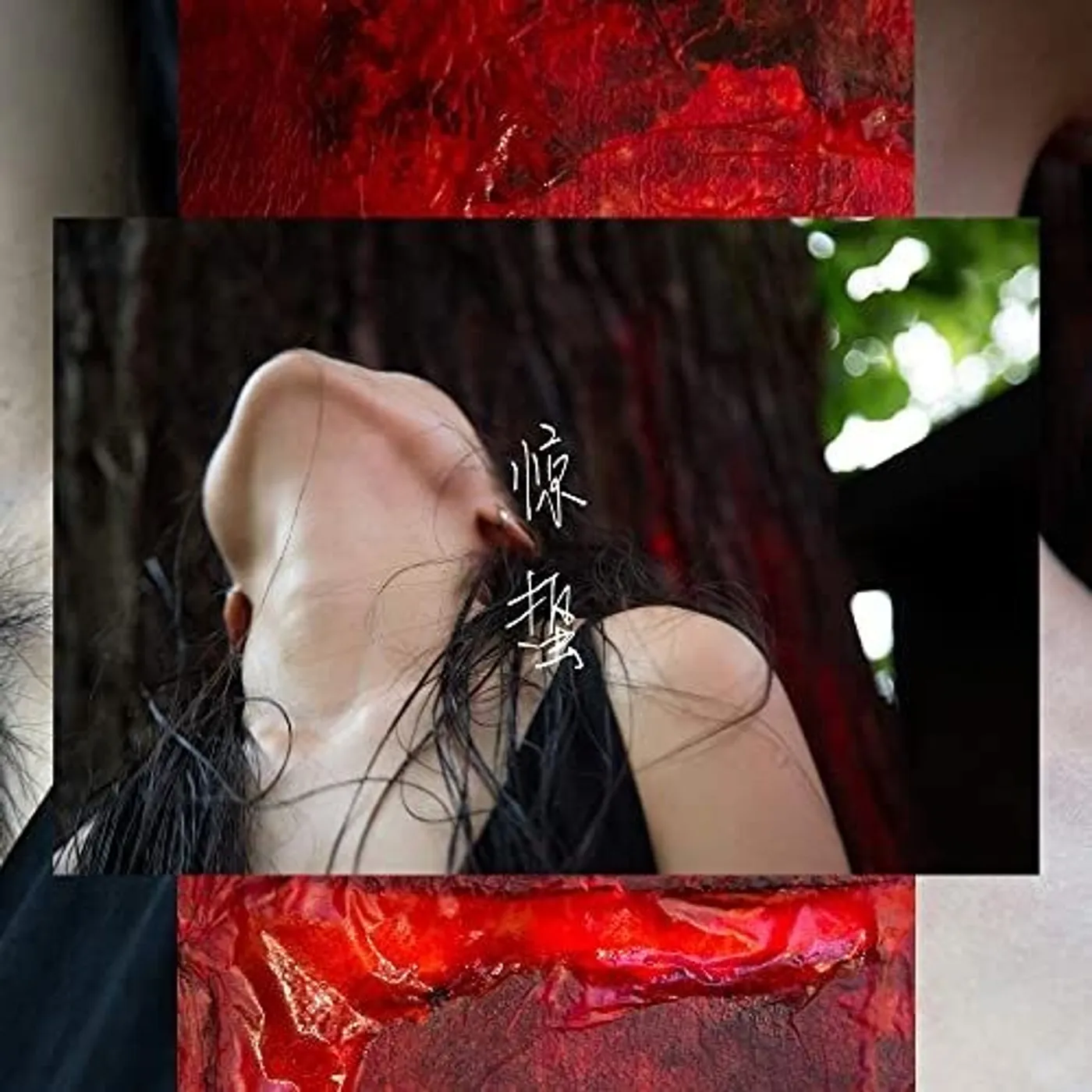 Pan Daijing LP Vinyl - Lack