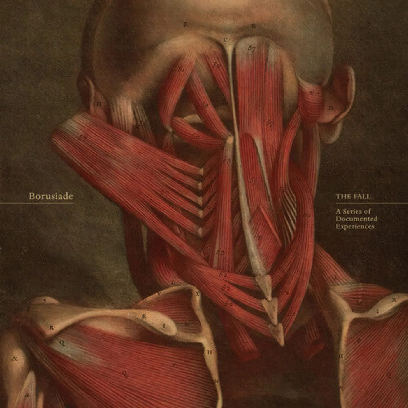 Borusiade LP Vinyl - Fall: A Series Of Documented Experiences