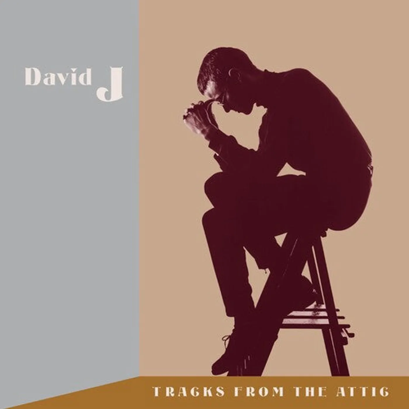 David J LP Vinyl - Tracks From The Attic (W/Cd) (Brwn) (Cvnl)
