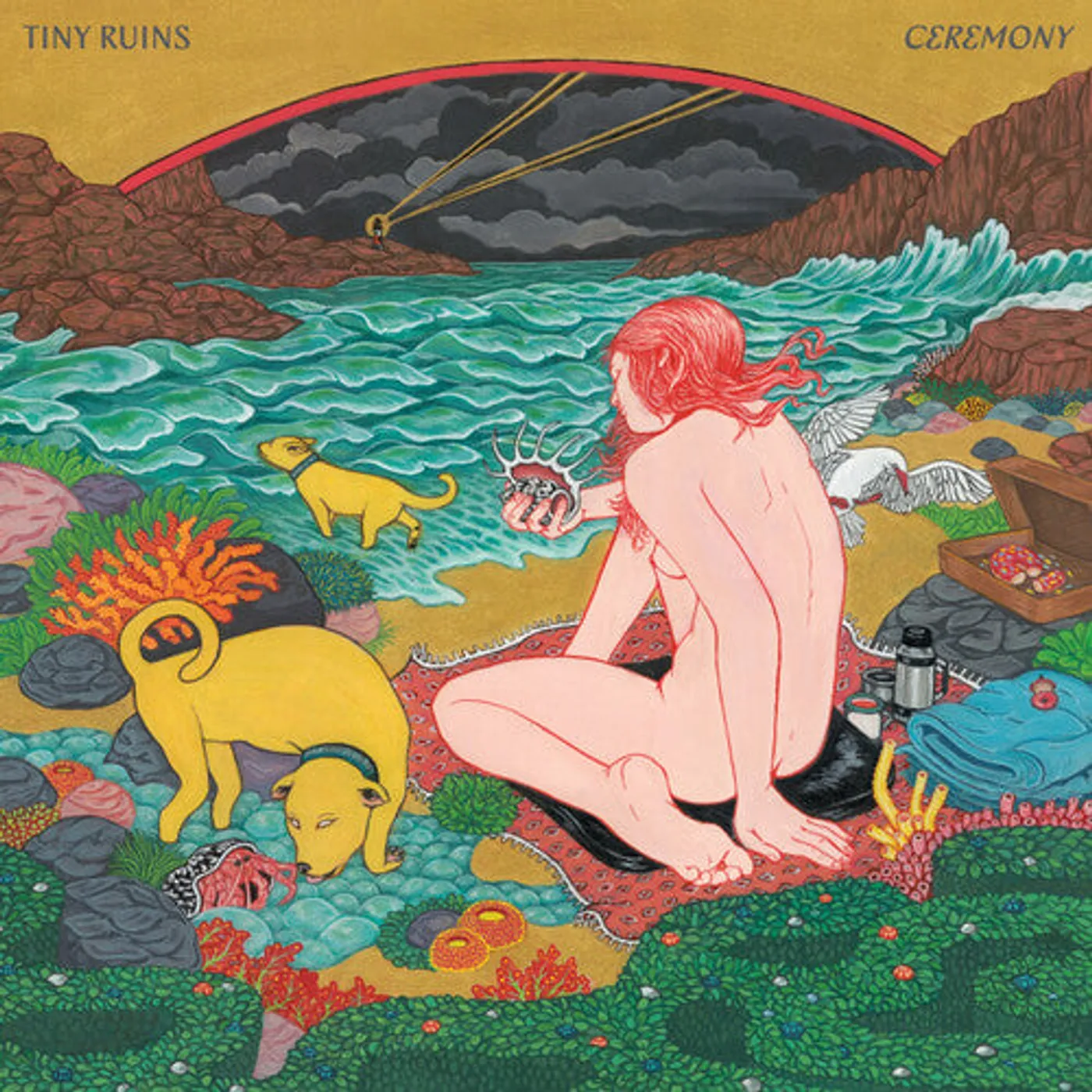 Tiny Ruins LP Vinyl - Ceremony