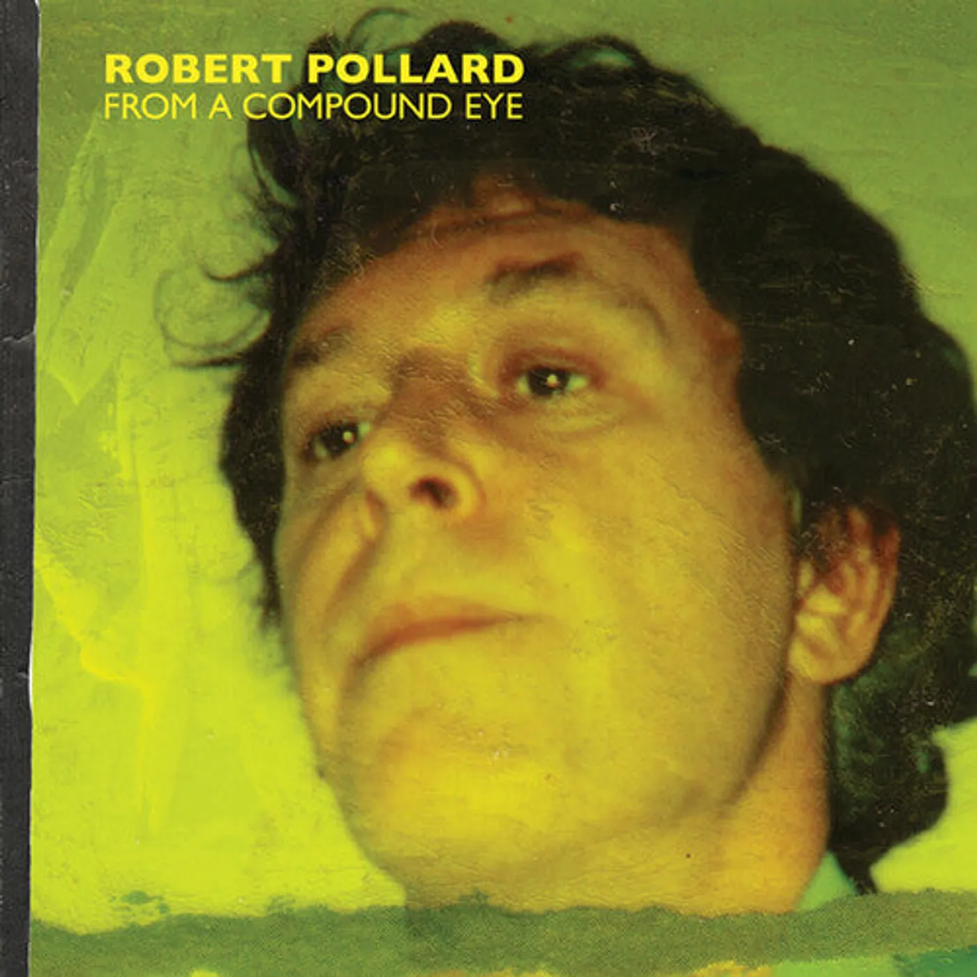 Robert Pollard LP Vinyl - From A Compound Eye