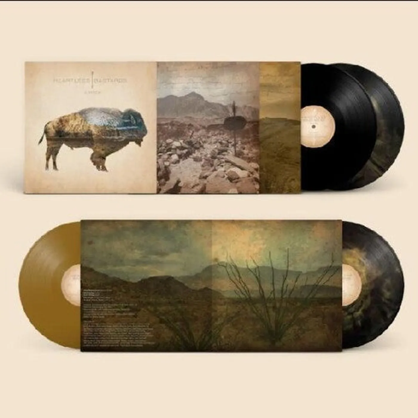 Heartless Bastards LP Vinyl - Arrow (Blk) (Coloured Vinyl) (Gol) (Aniv)