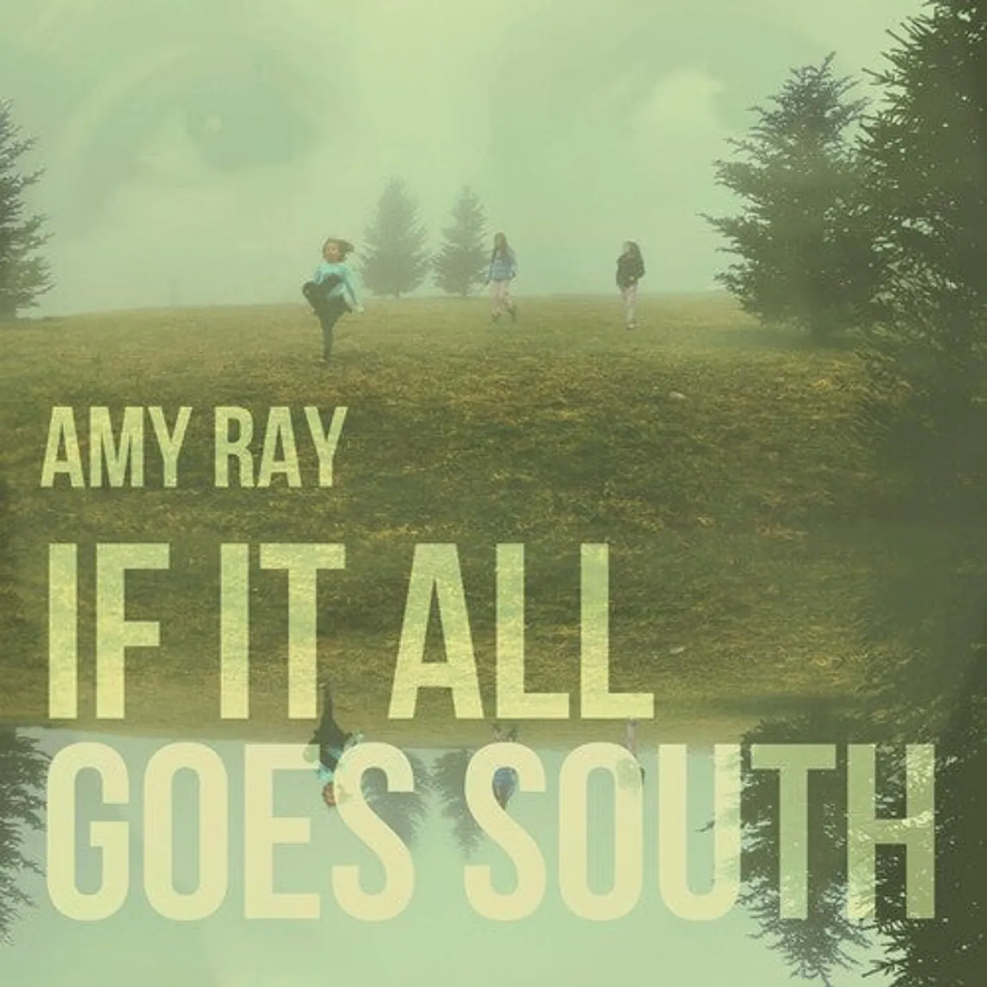 Amy Ray LP Vinyl - If It All Goes South