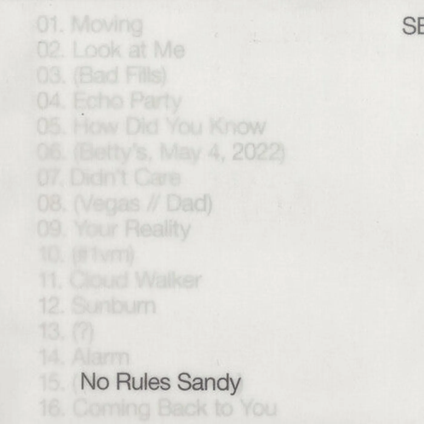 Sylvan Esso LP Vinyl - No Rules Sandy (Coloured Vinyl) (Grn) (Ltd)