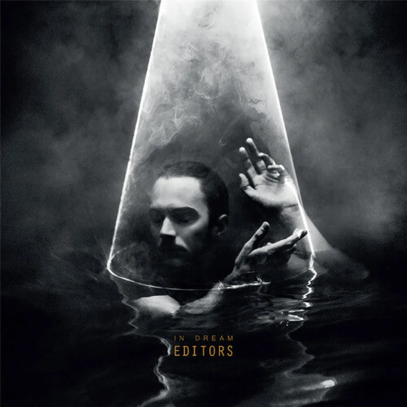 Editors LP Vinyl - In Dream